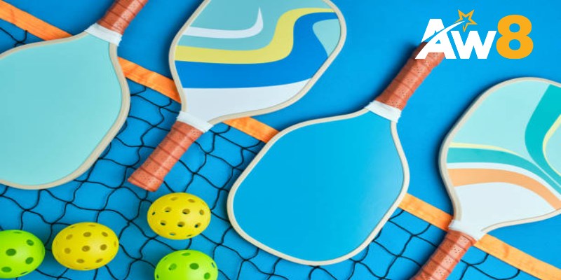Hình ảnh chế vợt pickleball sống động