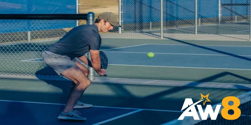 Quy Trình Độ Vợt Pickleball